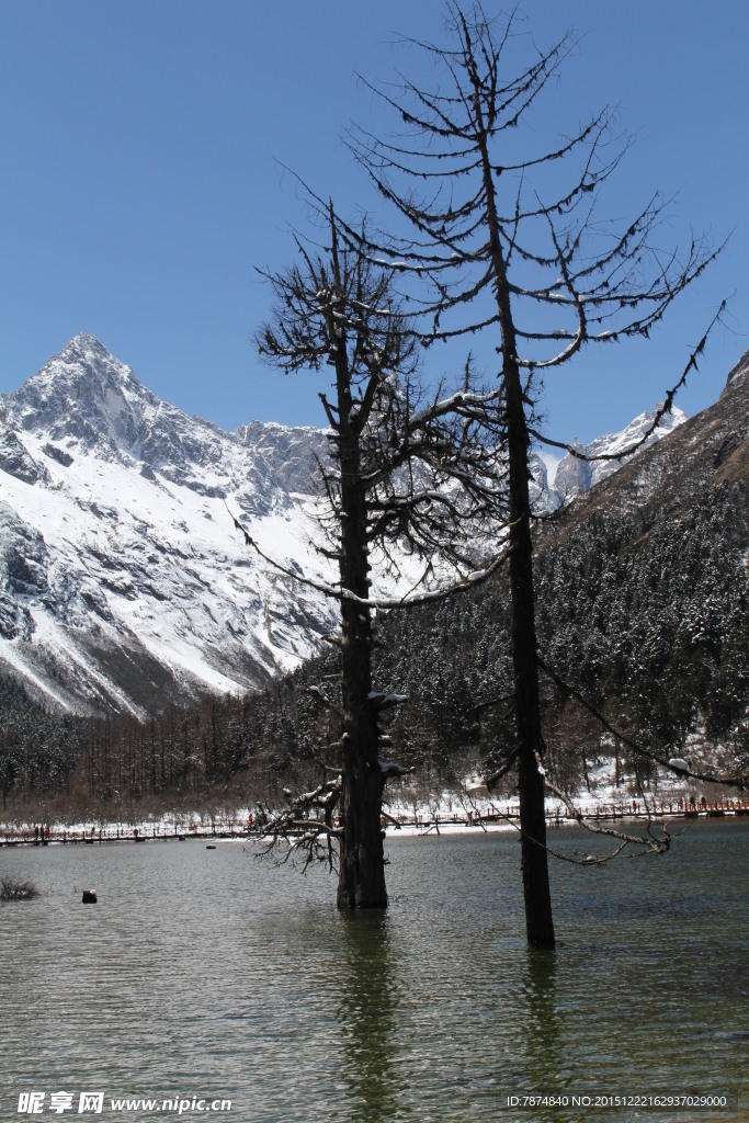 毕棚沟雪山