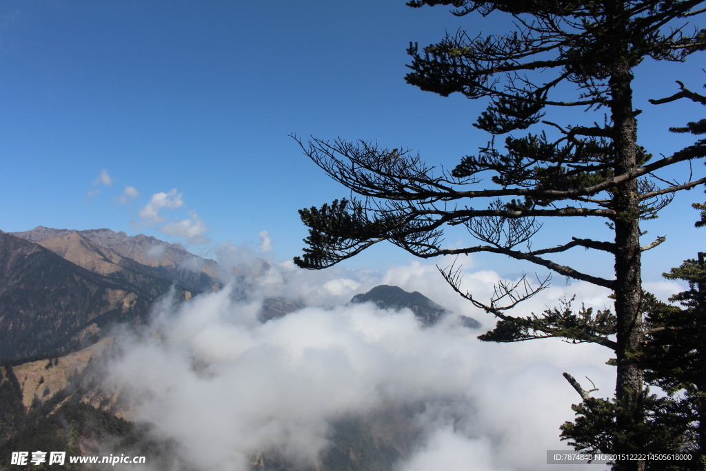 西岭雪山