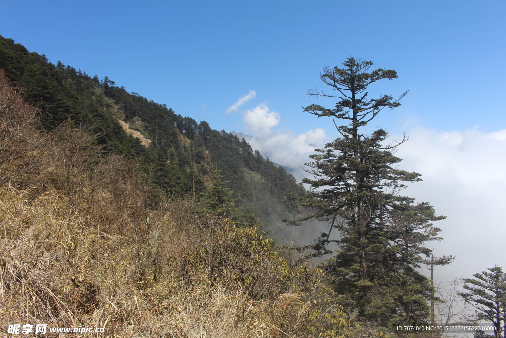 西岭雪山