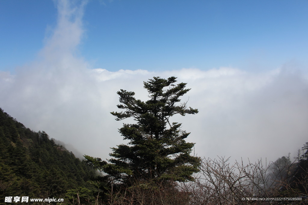 西岭雪山