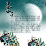 鬼谷子诗词