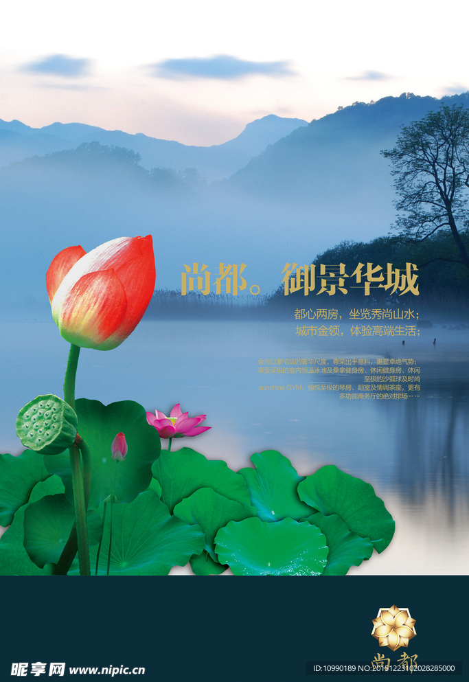 地产 荷花