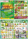 超市端午节