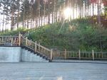 夕阳山林