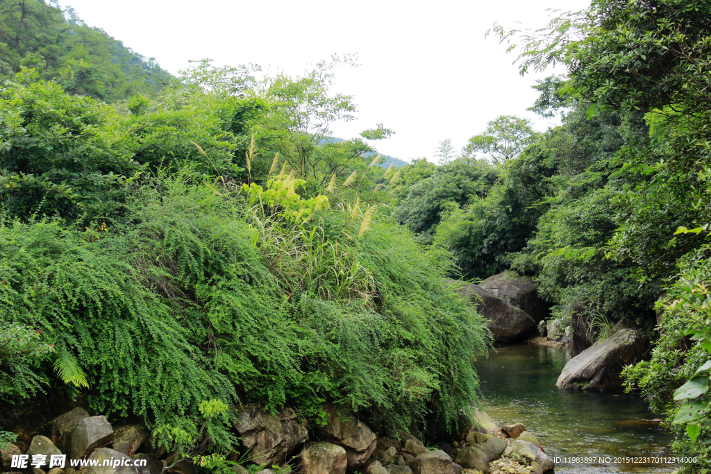 山溪水