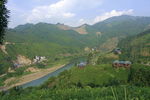 茶山