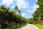 深山公路