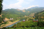 月亮湾茶山