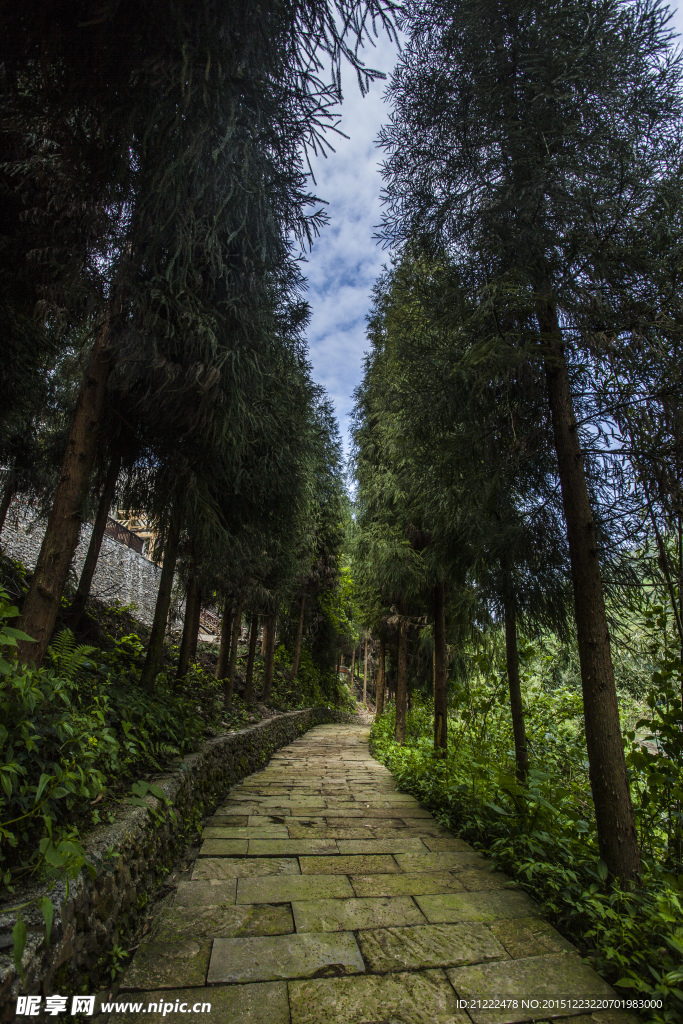 峨眉山风光