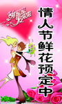 情人节鲜花预定
