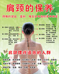 脊椎 美女后背