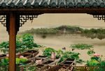 中国风 工笔画 背景素材