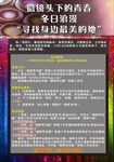 微镜头下的青春