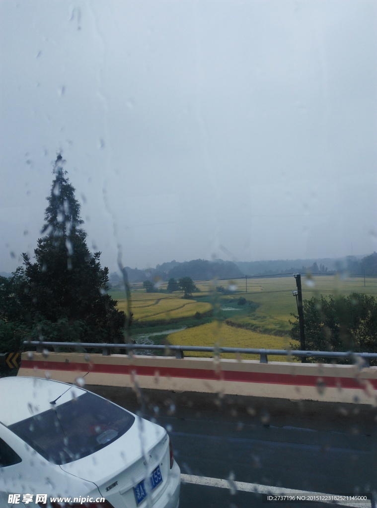 田园稻田