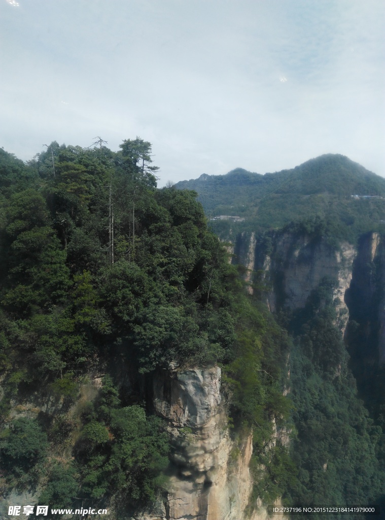 森林公园风景