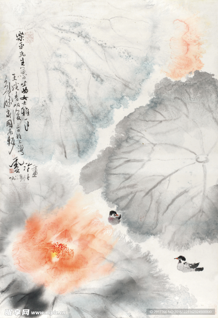 花鸟