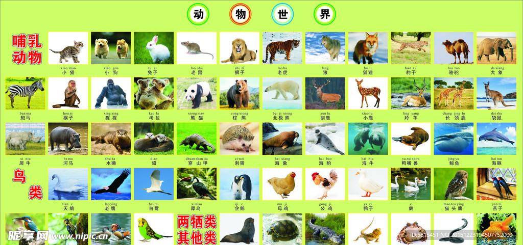 动物世界