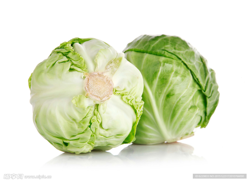 包心菜