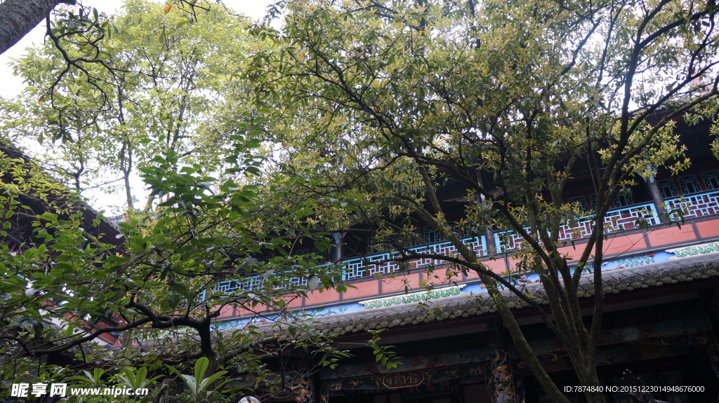 都江堰
