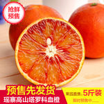高山血橙预售主图