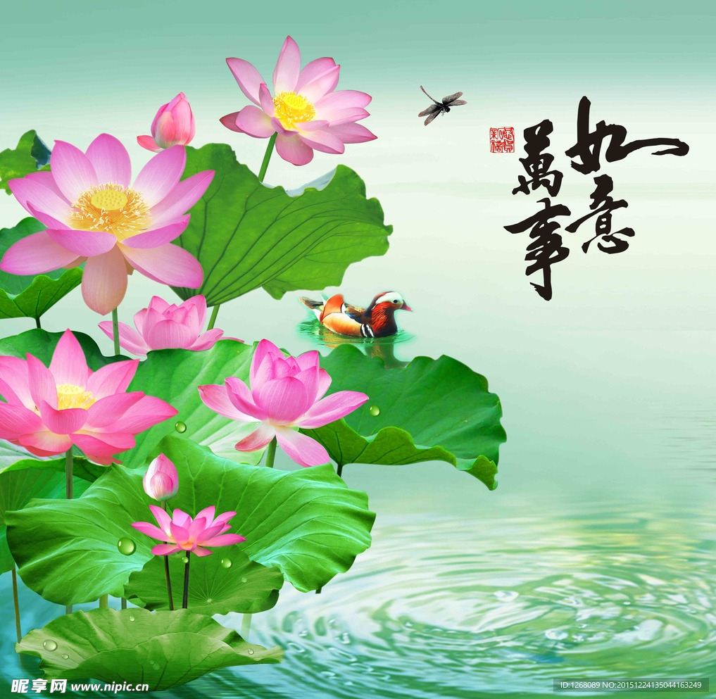 荷花