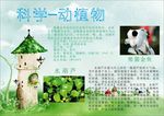 科学动植物手抄报