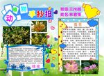 动植物手抄报