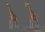 精致长颈鹿maya3d模型