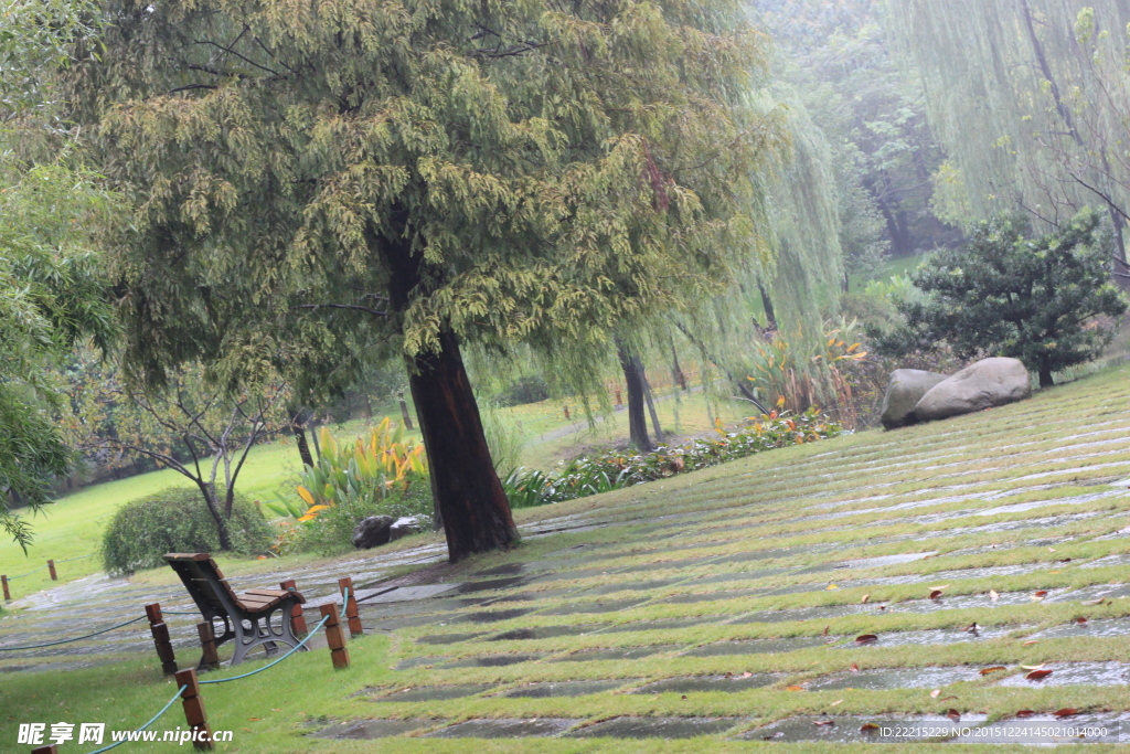 雨中长椅