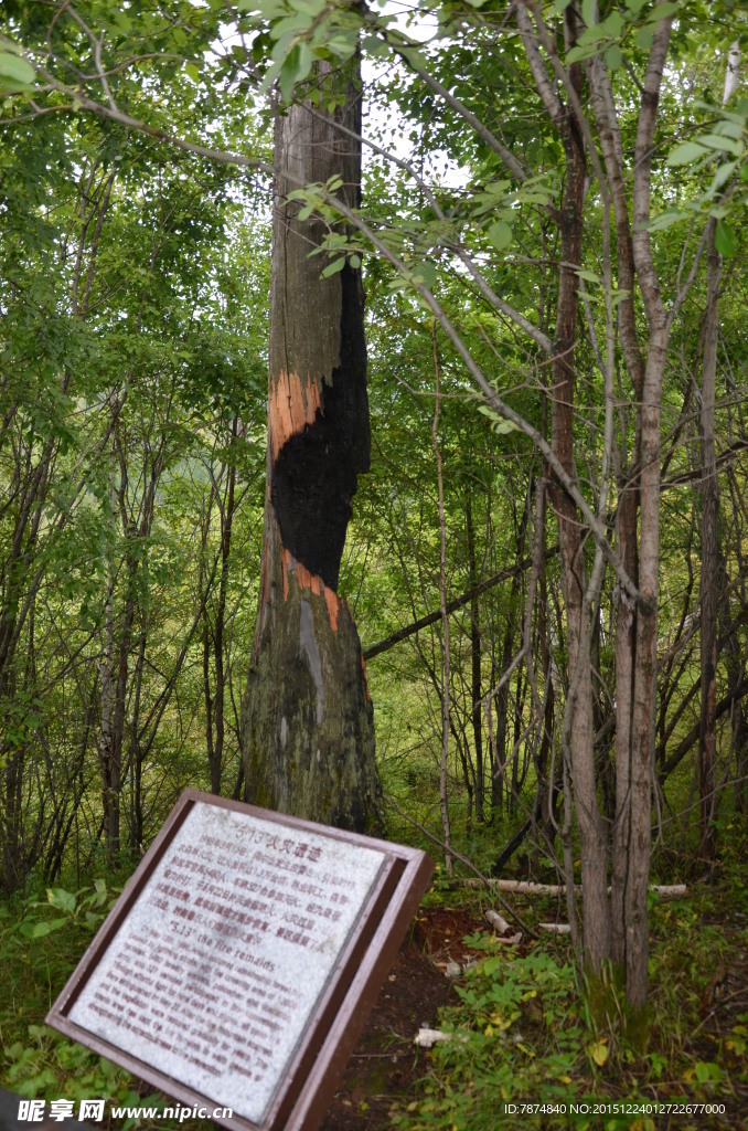 阿尔山风光