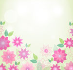花朵