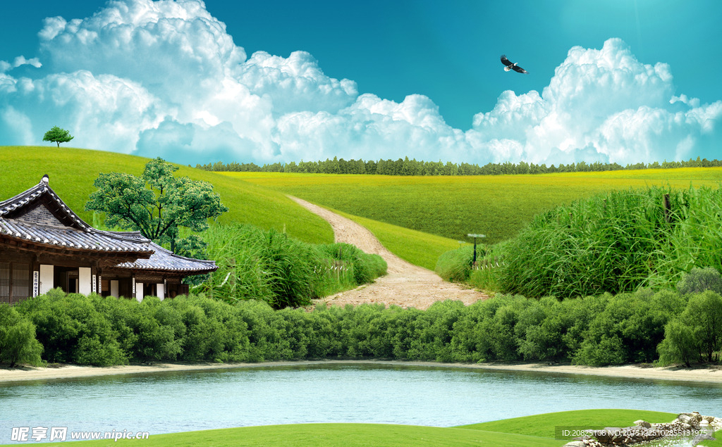 风景