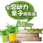 亲子盆栽