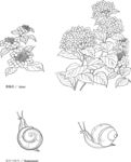 紫阳花线描花卉矢量EPS