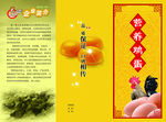 营养鸡蛋三折页图片