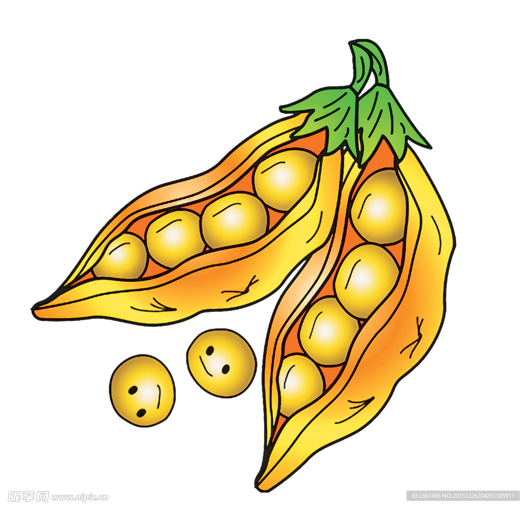 膨化玉米_农产品_粮油作物_豆类作物_黄豆_中国粮油信息网报价中心