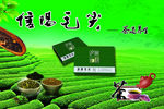 信阳毛尖  茶