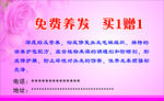 免费养发   买一赠一卡片
