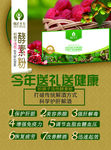 酵素宣传海报