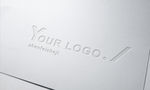 LOGO样机工艺智能展示效果图