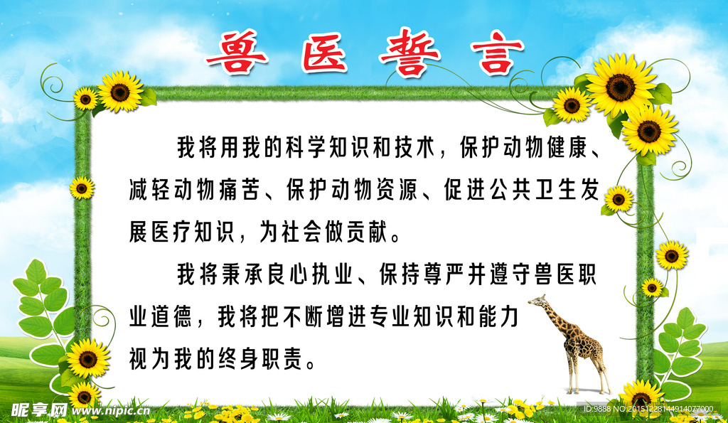 和丰 兽医