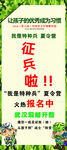 征兵展架