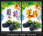葡萄海报