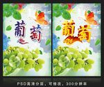 葡萄海报