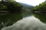 罗浮山青山绿水