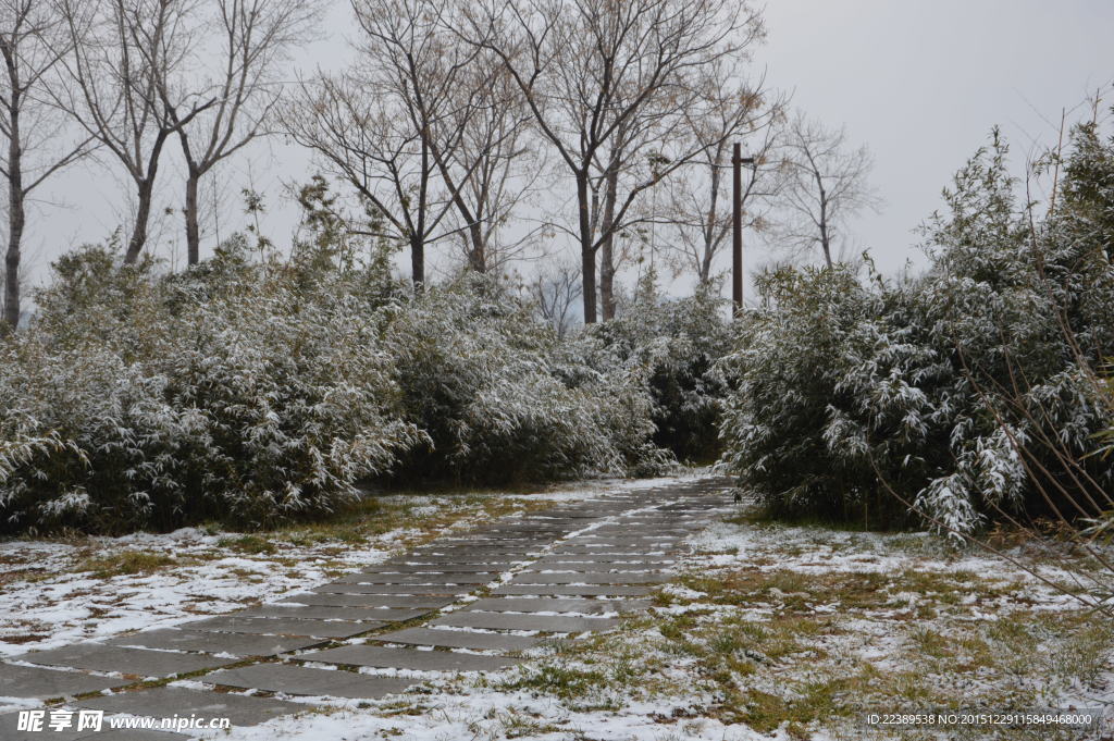 大明宫雪景