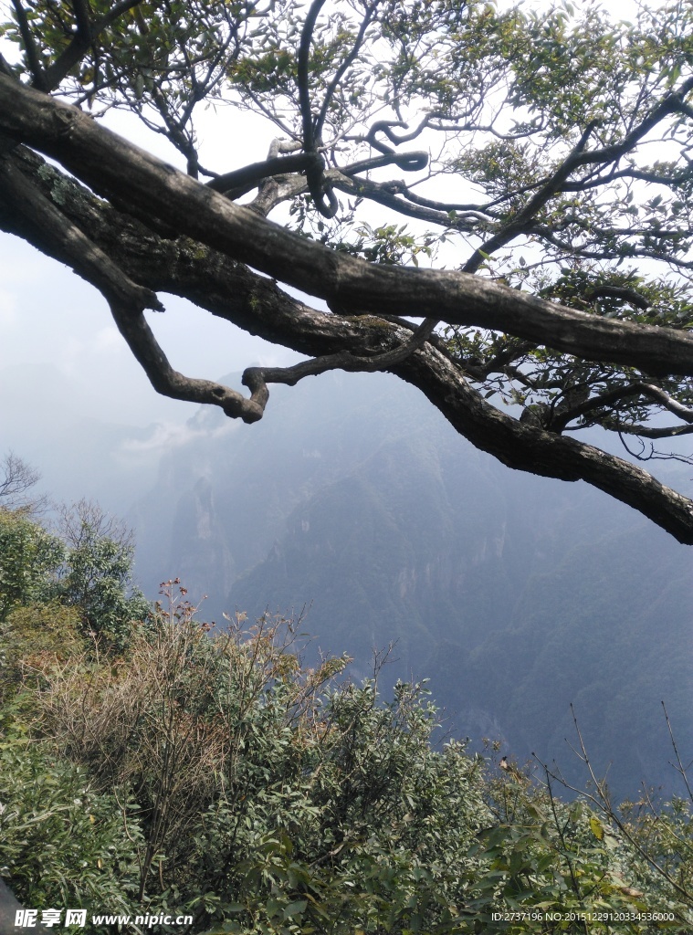 天门山森林公园