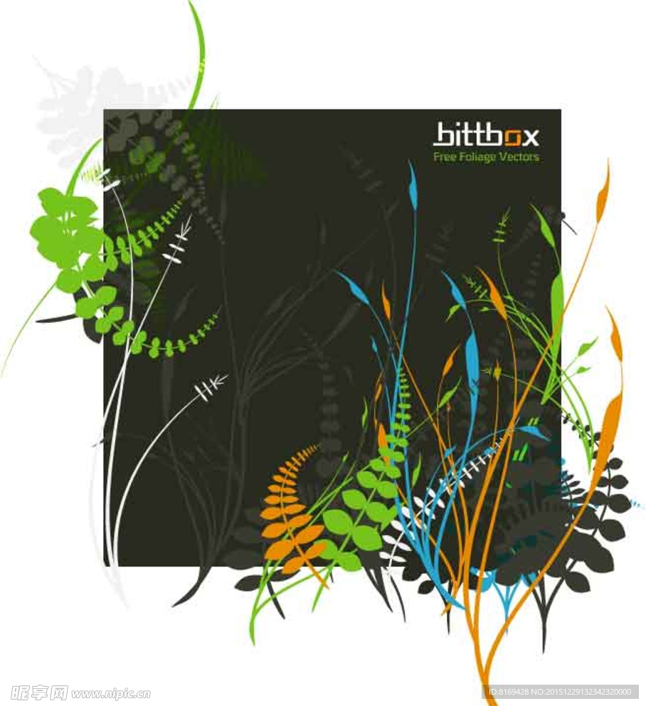 花纹