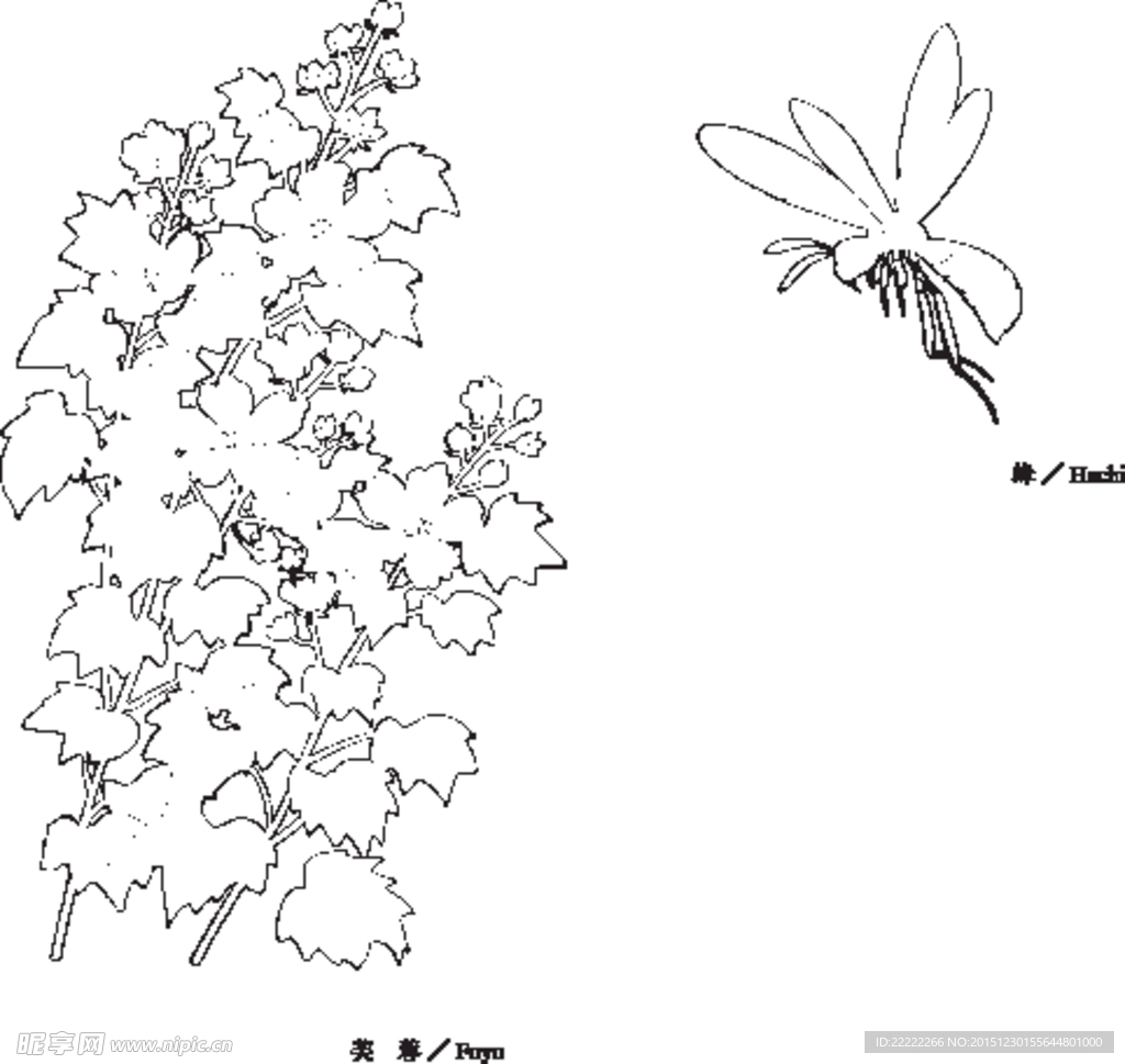 线描芙蓉蜜蜂矢量素材