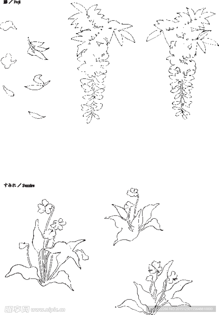 线描紫藤野百合矢量EPS